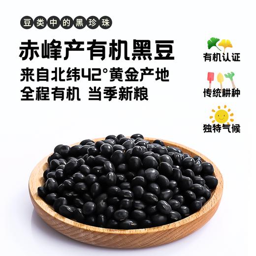 内蒙古有机黑豆 商品图4