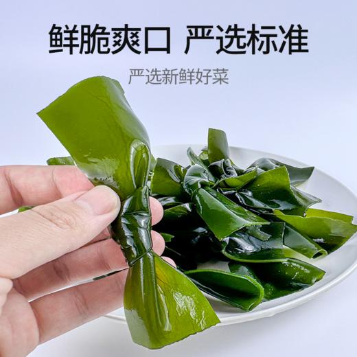 干净无沙海藻组合 龙须菜+海带结+海带丝 商品图1
