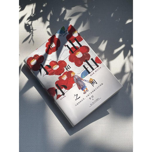 在小山和小山之间 李停 著 小说 商品图1