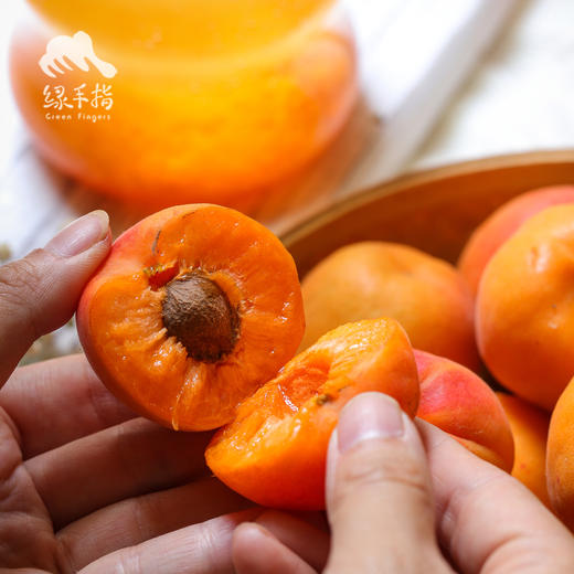 生态金太阳黄杏 | 合作生产*Eco-Yellow apricot | Coproduction 商品图2