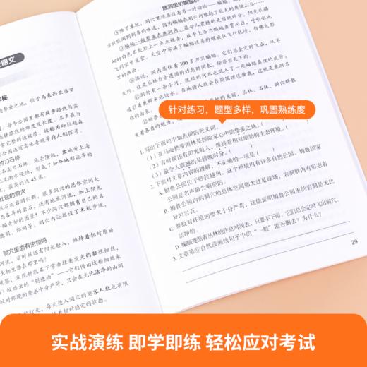 小学语文阅读理解公式法  商品图0