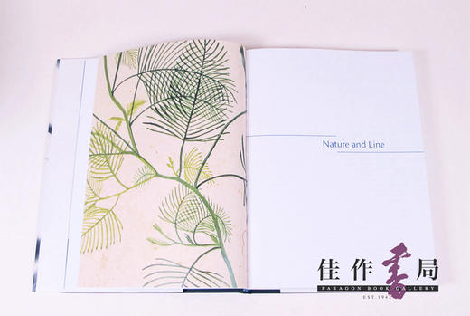 The Power of Line / 线条的力量 商品图1