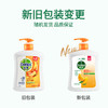 滴露（Dettol）健康抑菌洗手液柑橘500g瓶 消毒抑菌 儿童家庭补充装替换清爽去油 商品缩略图5