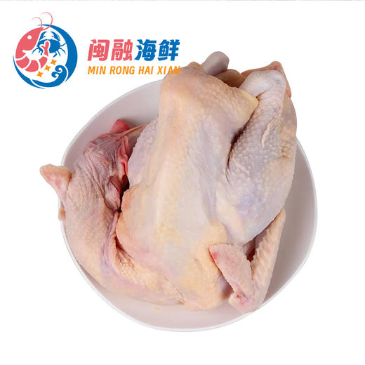 热鲜原种清远鸡(当日现杀) 2.1-2.3斤/只 商品图0