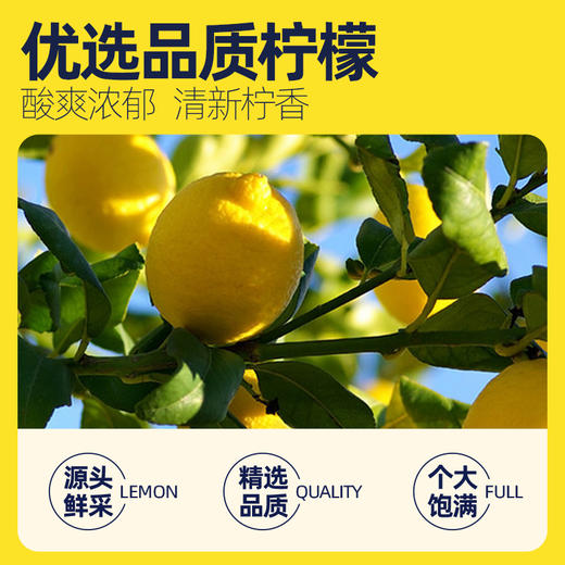 每鲜说冻干蜂蜜柠檬片泡水喝高维C片片饱满独立包装 商品图1