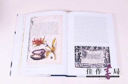 The Power of Line / 线条的力量 商品图2