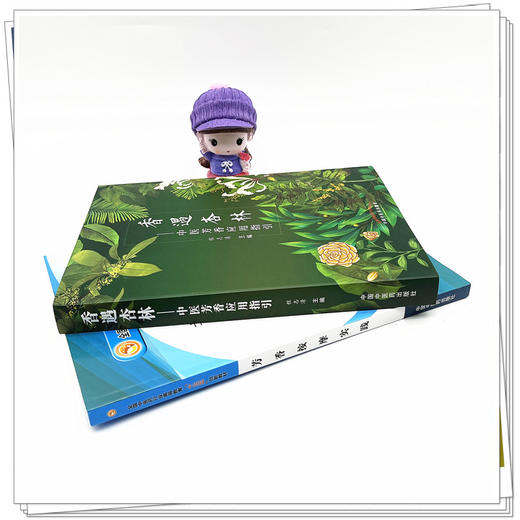 套装2本香遇杏林 中医芳香应用指引+芳香按摩实践（十三五创新教材） 程志清 著 中国中国中医药出版社  芳香疗法手法治疗植物书籍 商品图4