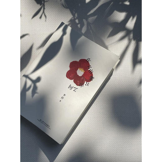 在小山和小山之间 李停 著 小说 商品图2