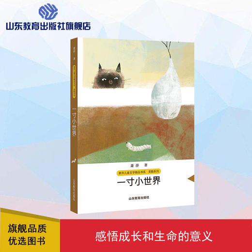 一寸小世界 商品图0