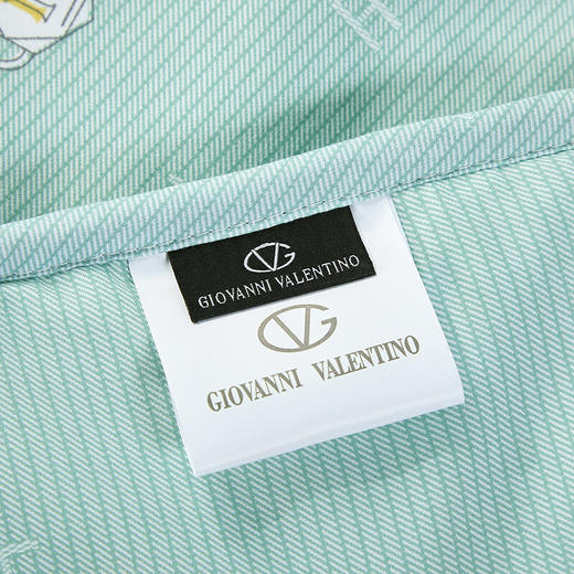 【分仓直发包邮】华伦天奴悦然四季纤维被GV2679BZ 商品图3