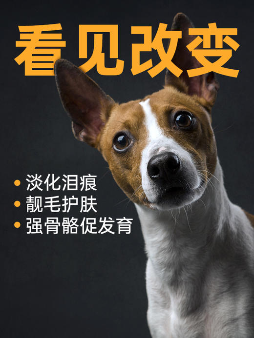 【双12囤粮热卖】凡可奇狗狗零食火腿肠600g*10包 补钙幼犬磨牙棒香肠小型犬整箱 商品图1