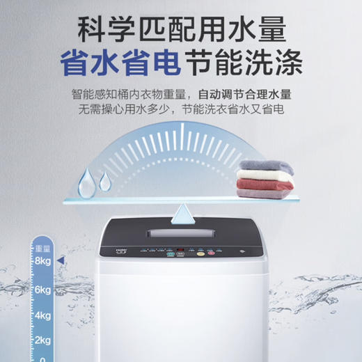 海尔（Haier）洗衣机 XQB80-M106 商品图2