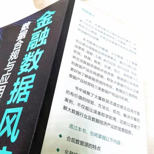 官网 金融数据风控 数据合规与应用逻辑 李可顺 金融风控领域数据合规教程 企业数据风险管理技术书籍 商品图3