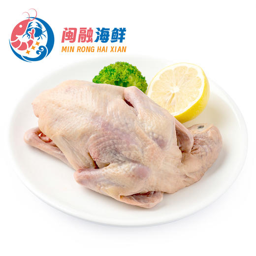 鲜乳鸽 0.5-0.6斤/只 商品图0