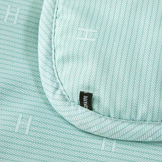 【分仓直发包邮】华伦天奴悦然四季纤维被GV2679BZ 商品图4