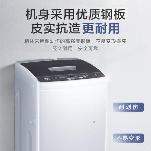海尔（Haier）洗衣机 XQB80-M106 商品图5