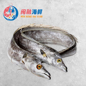 冰鲜带鱼 /条