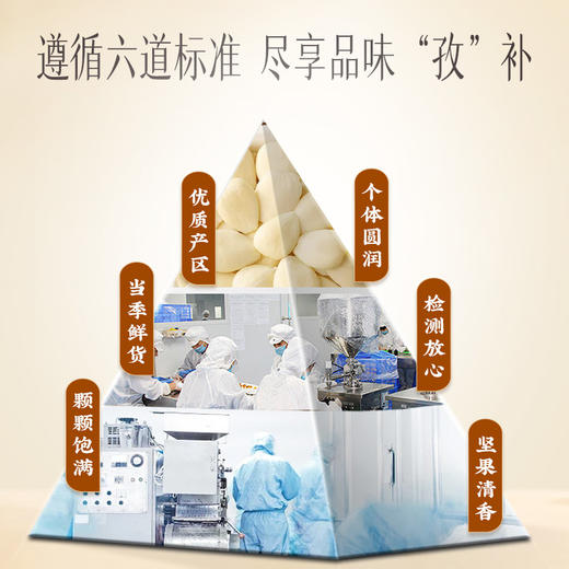 【官方正品】云南白药有这一方光杏仁200g大粒去皮坚果药杏仁煲汤做甜品 商品图3