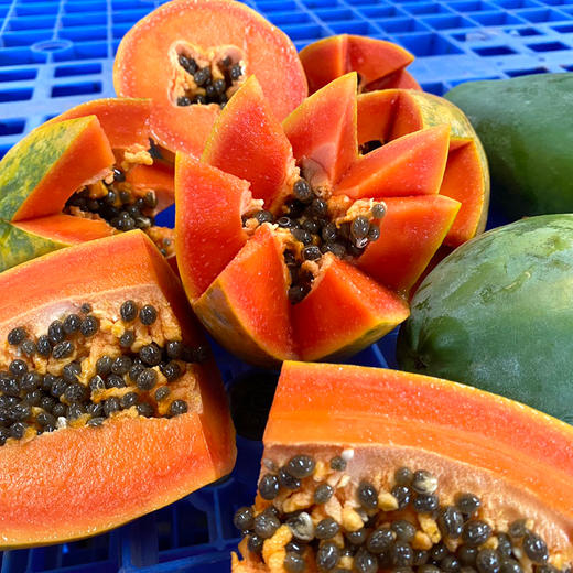 『徐闻树上熟冰糖心木瓜』生态种植丑木瓜，肉质紧致厚实，清甜舒爽，香嫩柔滑 商品图2