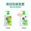 滴露（Dettol）健康抑菌洗手液植物呵护500g 消毒抑菌99.99% 儿童适用不含酒精 商品缩略图4