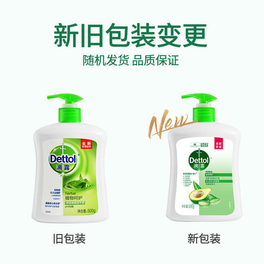 滴露（Dettol）健康抑菌洗手液植物呵护500g 消毒抑菌99.99% 儿童适用不含酒精 商品图4