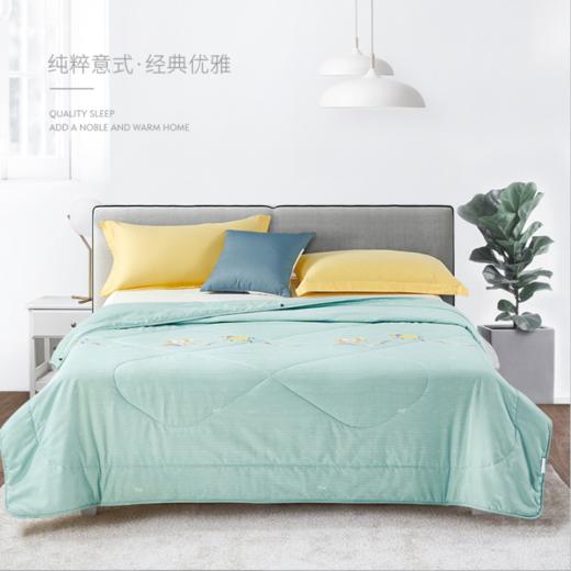 【分仓直发包邮】华伦天奴悦然四季纤维被GV2679BZ 商品图0