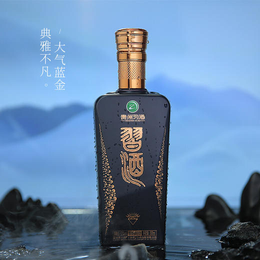 习酒 蓝钻2022年53度500ml单瓶装白酒--jmw 商品图0