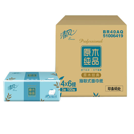 清风原木纯品3层100抽四叶草压花抽取式面纸4包/提 6提/箱 整箱24包BR40AQ(QF) 商品图0