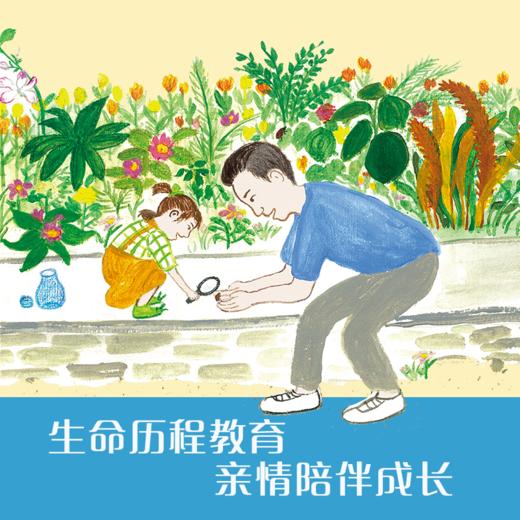 【精装】爸爸的放大镜 商品图3