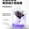 北鼎  黑枸杞玫瑰花茶  盒装/7袋/56g 商品缩略图3