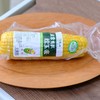 【有机认证】五常糯玉米家庭装 又糯又甜 双色可选 商品缩略图2