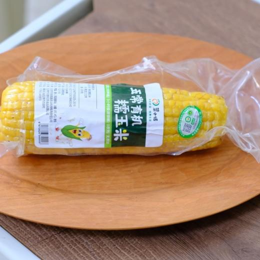 【有机认证】五常糯玉米家庭装 又糯又甜 双色可选 商品图2