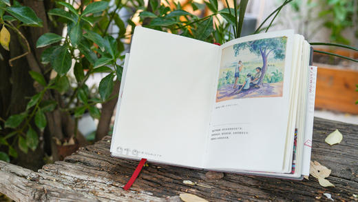 一席红本04 商品图6