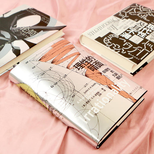 智慧宫020：理性的暗面：非理性的九副面孔 一段引人入胜的历史，关于理性暗面不得不说的故事！ 商品图2