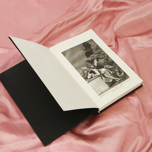 智慧宫020：理性的暗面：非理性的九副面孔 一段引人入胜的历史，关于理性暗面不得不说的故事！ 商品图5