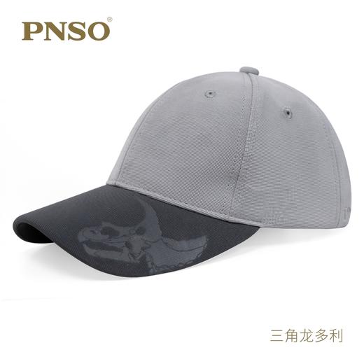PNSO科学艺术家棒球帽2023恐龙系列4款/盒 商品图2