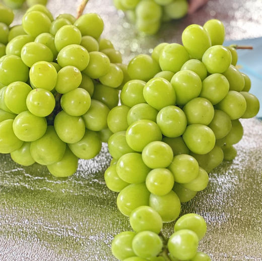 云南日光晴王阳光玫瑰香印青提顺丰冷链包邮下单从云南发货 商品图4