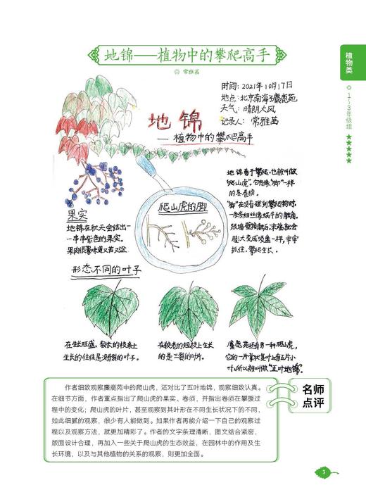 【自然观察笔记3】自然观察笔记（第三届） 商品图2