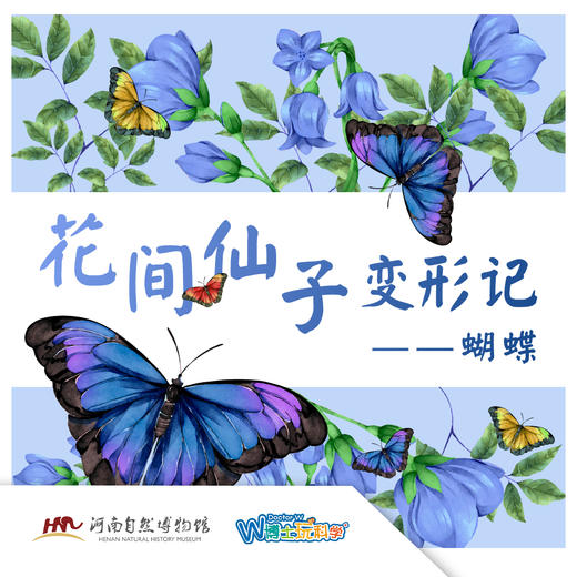 【河南自博-研学】花间仙子变形记 商品图0