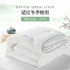 多喜爱 植萃艾草养生加厚冬被cs 商品缩略图3