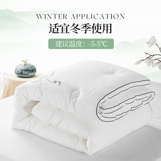 多喜爱 植萃艾草养生加厚冬被cs 商品图3