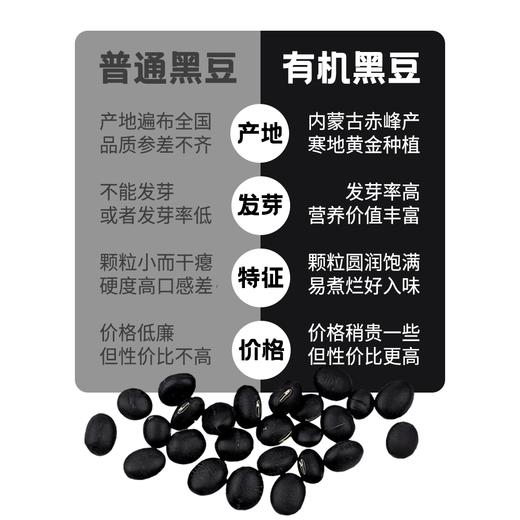 内蒙古有机黑豆 商品图3