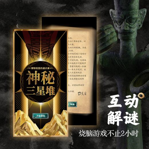 博物馆里的通识课：神秘三星堆 商品图3