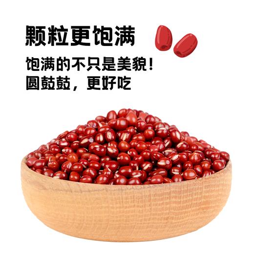 内蒙古赤峰有机红豆 商品图1