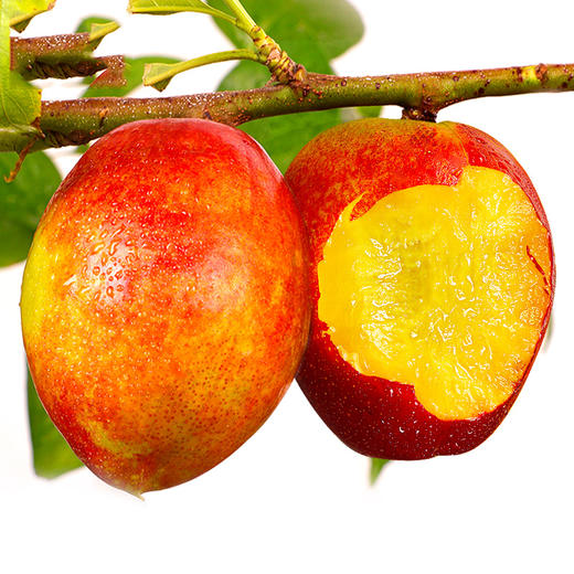 【1斤】新鲜红皮油桃黄肉 重约1斤【当天可提货】 商品图3