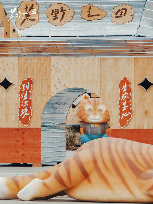 银盐复古市集·成都麓湖荒野之国站「拾物」第十九回 | 单日票 商品图2