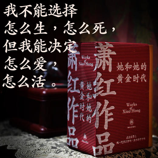 萧红作品 她和她的黄金时代 萧红 著 文学 商品图0