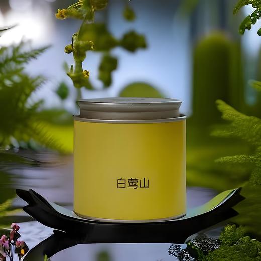 白莺山2023细叶古茶佛茶（50g） 商品图0