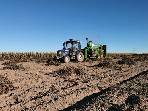 脱皮绿豆（出口品质绿豆原料，传统物理脱皮工艺，） 商品图6