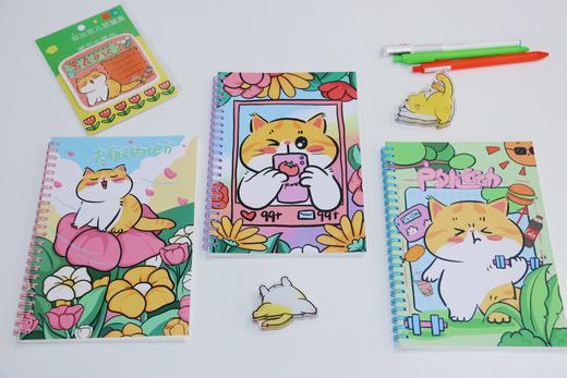 番茄口袋原创线圈本 商品图12